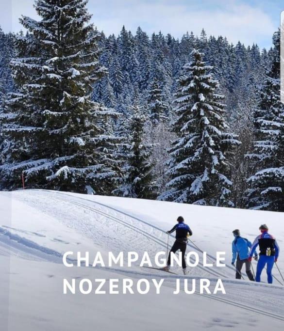 Gite Jura Mina Chalet Au Milieu De La Nature Villa Ney Eksteriør bilde