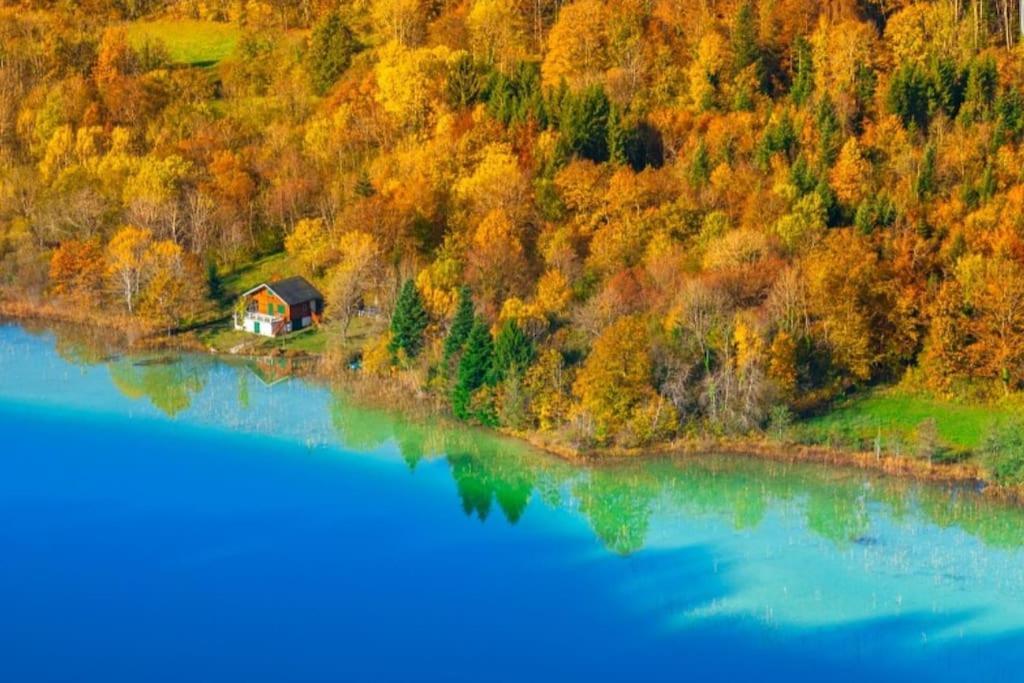 Gite Jura Mina Chalet Au Milieu De La Nature Villa Ney Eksteriør bilde
