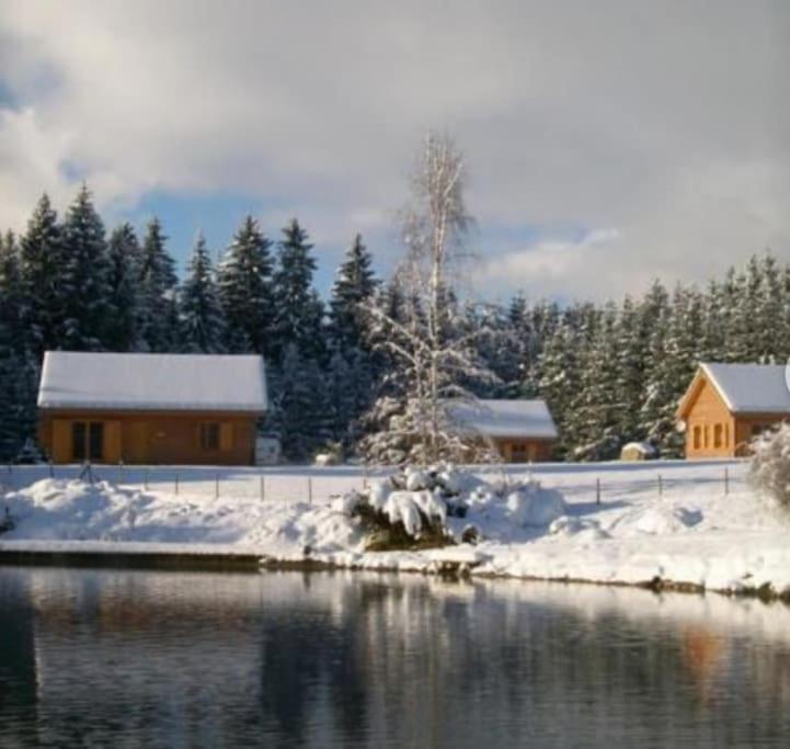 Gite Jura Mina Chalet Au Milieu De La Nature Villa Ney Eksteriør bilde